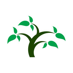 green leaf icon