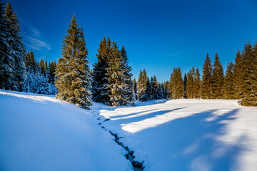 Fototapeta premium Landscape Jakuszyce, Lower Silesian Voivodeship