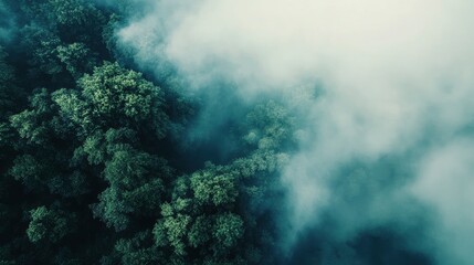 Fototapeta premium Aerial view of a tropical rainforest with low fog in the morning, a top-down view against a white sky background. A flying drone captures aerial images from above to capture distant trees and misty