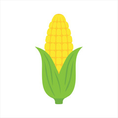 Obraz premium A Corn cobs flat vector white background design 