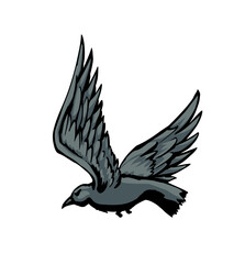 Vector drawing. Big flying bird