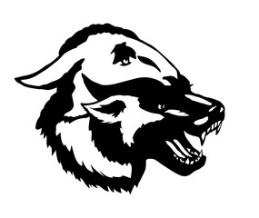 Vector drawing. Wolf in sheep's clothing