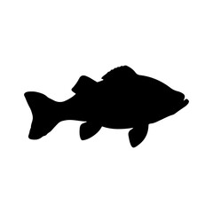 Bass fish silhouette vector illustration design on white background.