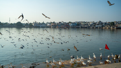 Ghats of Pushkar lake located in Pushkar town in Rajasthan state of India