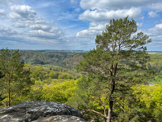 Panoramic view of mountains and trees under blue sky with clouds in the Mullerthal region, Luxembourg.