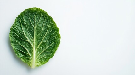 Fresh green lettuce leaf isolated on a white background showcasing its textured surface and vibrant color for culinary use or health concepts