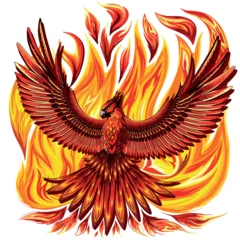 Phoenix mithological Creature looking like a Bird with Fire Feather surrouded by fire vector illustration