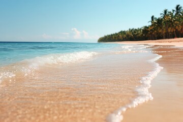 Fototapeta premium The ocean is calm and the beach is empty