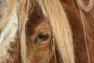 Weihnachten im Erzgebirge