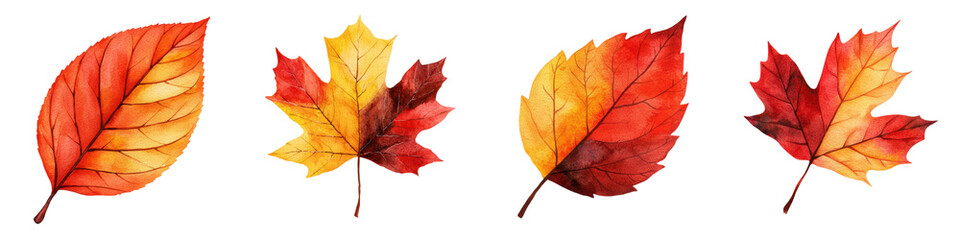 Vibrant Autumn Leaves in Variety of Warm Colors on Display