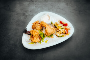 Crispy Dumplings with Fresh Salad and Dipping Sauce on a Modern Plate