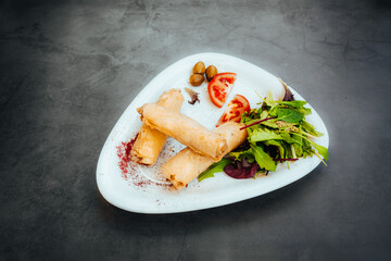 Crispy Pastry Rolls with Fresh Salad and Tomato Garnish on a Modern Plate