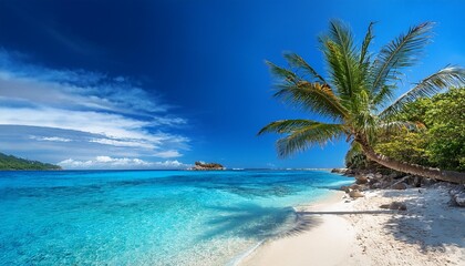 Fototapeta premium beach with palm trees