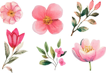 set of pink and white flowers