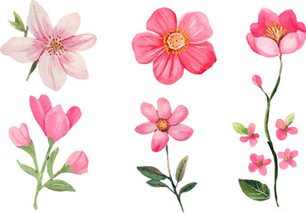 set of pink flowers