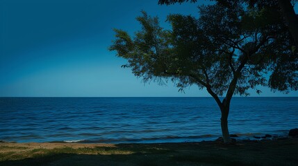 Tranquil Seaside Landscape with Lush Green Tree Silhouette Against Calm Waters and Blue Sky, Ideal for Relaxation and Nature Themes in Stock Photography