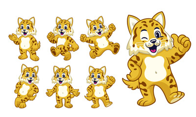 Happy Cartoon Character Set of Wildcat
