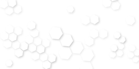 White color embossed hexagon background, vector illustration geometry science and technology, geometric mesh cell texture. modern futuristic wallpaper.
