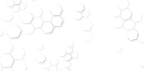 Abstract white and grey background, White Hexagonal Background, seamless pattern of black hexagon grid line, Luxury White Pattern,  