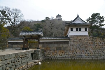 Obraz premium 香川 丸亀城 大手門と石垣 天守を望む