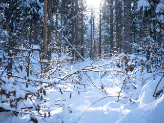 A Peaceful Winter Morning In Bavaria, Germany, Featuring Frost-Covered Trees In A Snowy Landscape With A Forested Mountain Illuminated By Gentle Sunlight In The Background
