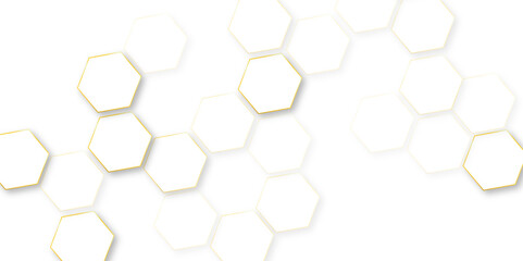 Abstract pattern with hexagonal white and gray technology line paper background, luxury white hexagon pattern, geometric mesh cell texture. modern futuristic wallpaper.