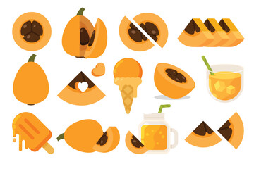 Set of orange Loquat, Farm fresh Loquat product emblem for grocery shop, collection of ice cream, Juice jar, glass of juice, ice cream cone and stick, simple flat vector illustration of fruits.