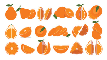 Set of orange Tangelo, Farm fresh Tangelo product emblem for grocery shop, Slides, long and cross sections, and different positions, simple flat vector illustration of vegetables and fruits.