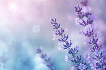 Lavender blooms glimmer softly under a pastel sky in a tranquil garden at sunset. Generative AI