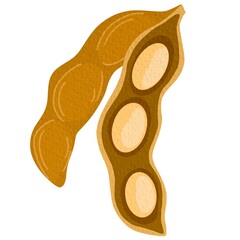 Raw soy, soybeans pods isolated vector set. Green fresh bean husk with seeds and leaves, soya natural vegetable plant. Vector healthy food cartoon illustration soybeans On white background.