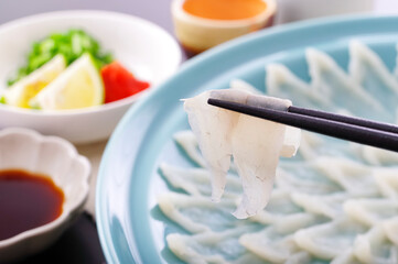 美味しそうなフグの刺身盛り（箸上げ）