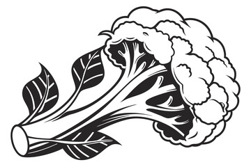 a black silhouette image cauliflower vector illustration white background H.eps