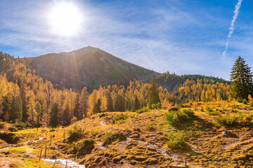 Autumn sunlight over alpine meadow in Tyrol, Austria