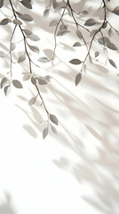Botanical Illustration White Leaf Shadows