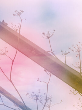 background with tree
