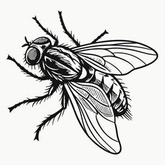 Fly Black silhouette