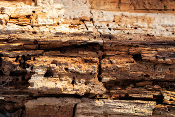 old wood texture