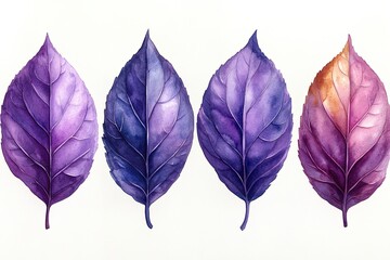 Obraz premium A watercolor illustration of four colorful leaves in varying shades of purple and orange.
