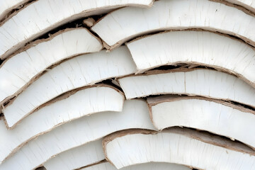 White Wood Slice Abstract Background