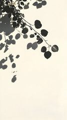 Fototapeta premium Leaf Shadows on Wall Background Illustration