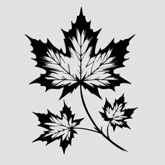 design logo vector icon illustration leaf