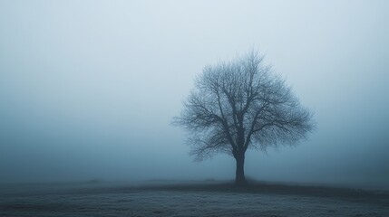 A tree stands alone in a foggy field. The sky is overcast and the air is chilly