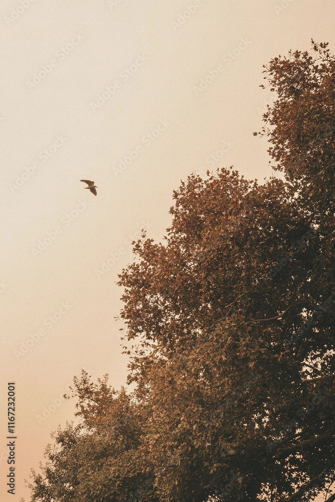 Poster muted lavender transitioning into soft peach with a subtle grainy overlay.