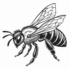 Honeybee Black silhouette