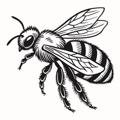Honeybee Black silhouette