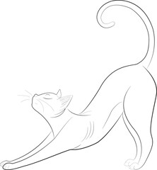 Line drawing of a cat.

