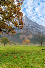Colorful autumn landscape at Großer Ahornboden in the Karwendel Mountains, Austria – forest with fall foliage, rocky peaks and dramatic sky