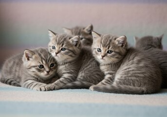 Obraz premium A group of cute kittens with a soft blurred bokeh background