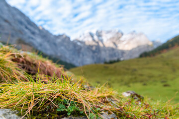 Colorful autumn landscape at Großer Ahornboden in the Karwendel Mountains, Austria – forest with fall foliage, rocky peaks and dramatic sky