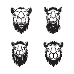  Camel Face Silhouette Vector Set - Detailed Desert Animal Illustrations in Black and White